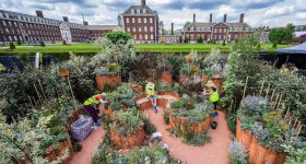 The World Child Cancer’s Nurturing Garden at the RHS Chelsea Flower Show 2024. Photo via Guy Bell/Alamy